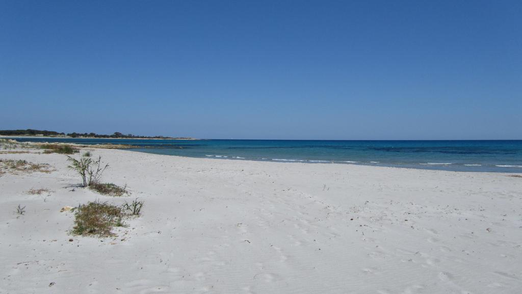 La Corte Degli Ulivi * Cala Liberotto
